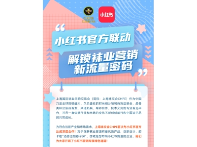上海国际袜交会与小红书官方联动，解锁袜业营销新流量密码！